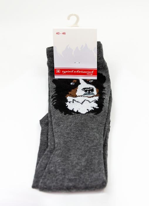 Herren Baumwoll- Socken anthrazit mit Motiv Sennenhund